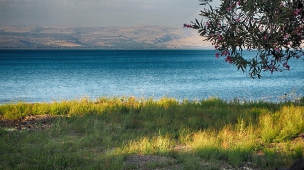 Lovely Landscape.jpg
