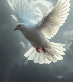 dove in flight.png