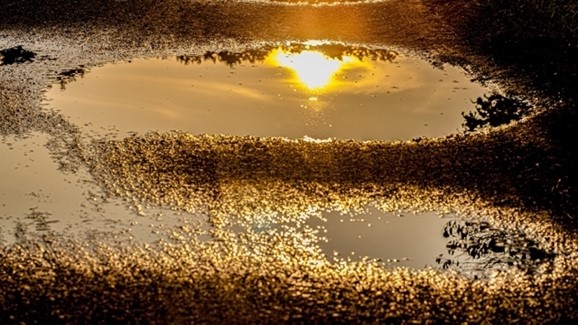 sun reflected in puddle.jpg